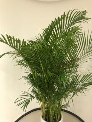 点击看大图 -丰联丽格医疗美容·联合丽格眼整形中心