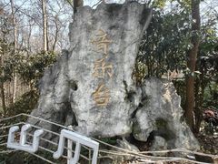 -音乐台