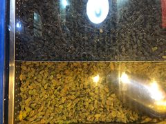 -粒上皇(新闻路店)