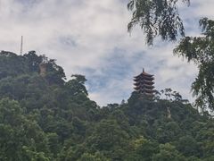 -缙云山景区