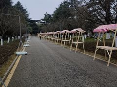 -花溪公园