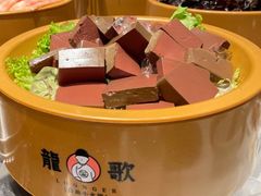 -龍歌自助小火锅(李沧顺和汇店)