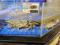 -粤珍轩.创始店.始于2001(含光门店)