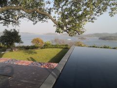 -天乐农家鱼头王(天目湖店)