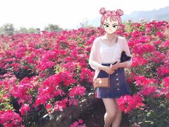 -曲江薰衣草庄园