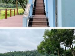 -南宁良凤江国家森林公园