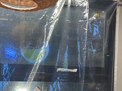 -小乾杯串店•16年沈阳烧烤(文安路店)