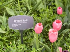 -国家植物园南园
