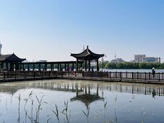 -莲花池公园