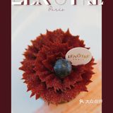 将艺术与美学带来魔都的法国甜品店|雷诺特