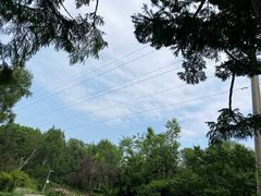 -黑龙江省森林植物园