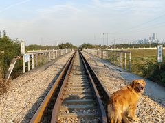 -乌龙涧铁道铁轨景
