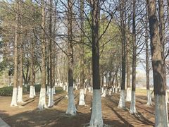 -瑶湖湿地自然保护区