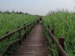-西青郊野公园
