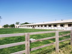 -北京群众马术培训基地