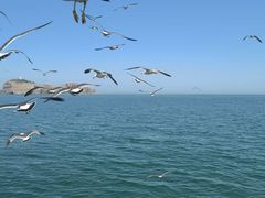 -海驴岛(荣成市)