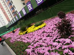 -芳芳餐厅(白沙路店)