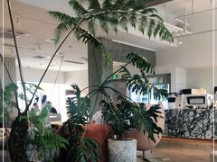 大堂-COFFEEOLOGY咖啡学(天银店)