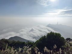 -梧桐山风景名胜区