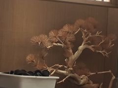 -花时·炭火烧肉(东百中心A馆店)