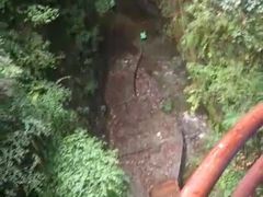 -神农山景区