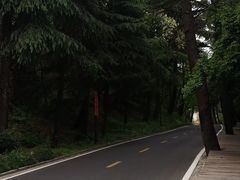 -紫金山山顶公园