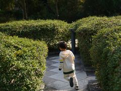-九龙公园
