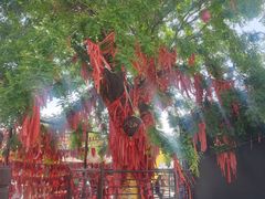 -茯茶镇