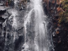 -马峦山郊野公园