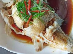 -大班家政月嫂育儿嫂(深圳NO.1店)