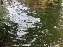-西湖游船