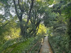 -南山植物园
