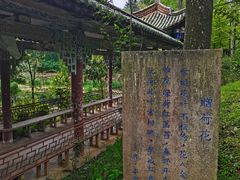 -昆明市金殿名胜区