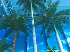 -青岛东方影都融创水世界