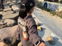 -洋湖国家湿地公园