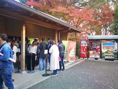 -豆政(金閣寺境内売店)