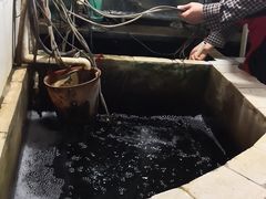 -抚仙湖老铜锅鱼(官南大道店)
