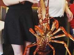 -金唐海鲜酒家
