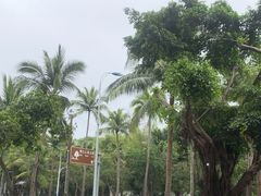 -文昌邓记清补凉(西沙路店)