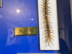 -上海昆虫博物馆