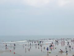 -日照海滨国家森林公园