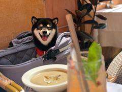 -夏朵餐厅(丁香店)