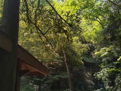 -藏龙百瀑风景区