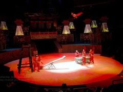 内景-武汉杂技厅