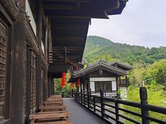 -大唐贡茶院