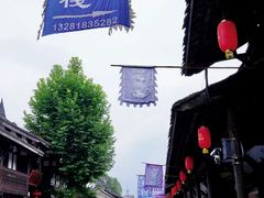 -都江堰中华大熊猫苑