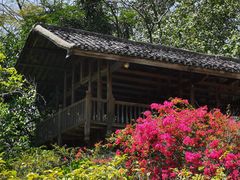 -深圳国际园林花卉博览园