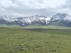 -新疆那拉提国家旅游度假区