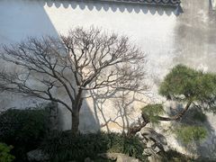 -艺圃