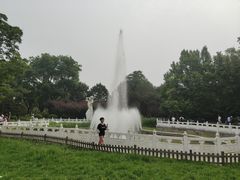 -丰台花园